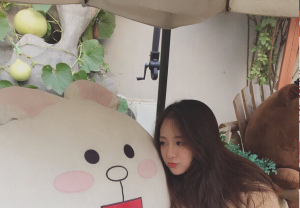 ������Χʵ������