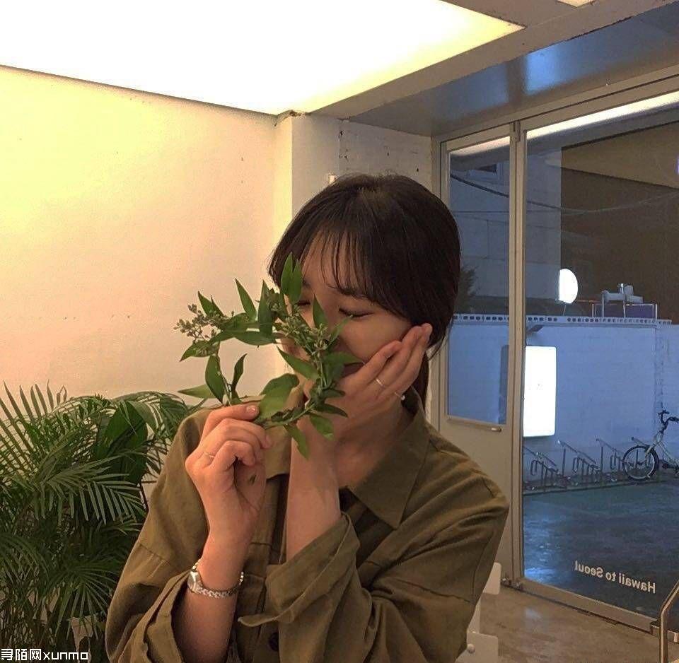 ������ �ĸ��������ܰ����